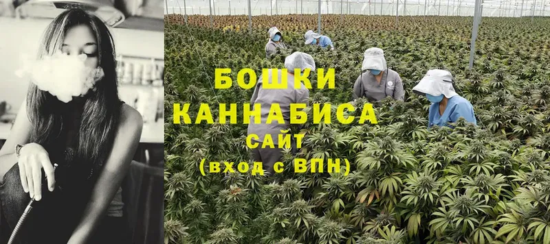 Бошки марихуана SATIVA & INDICA  Александровск-Сахалинский 